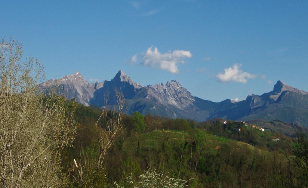 Forni Rosaia Βίλα Olivola  Εξωτερικό φωτογραφία
