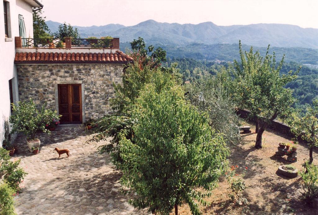 Forni Rosaia Βίλα Olivola  Εξωτερικό φωτογραφία