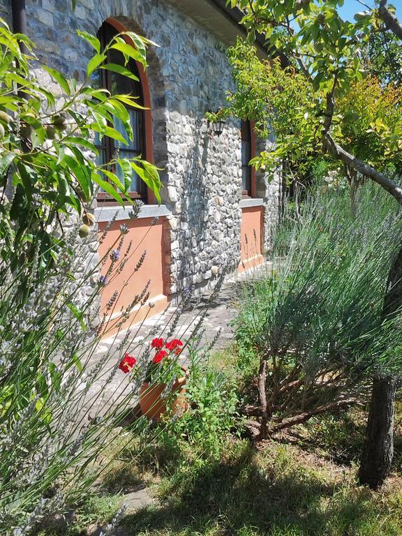 Forni Rosaia Βίλα Olivola  Εξωτερικό φωτογραφία